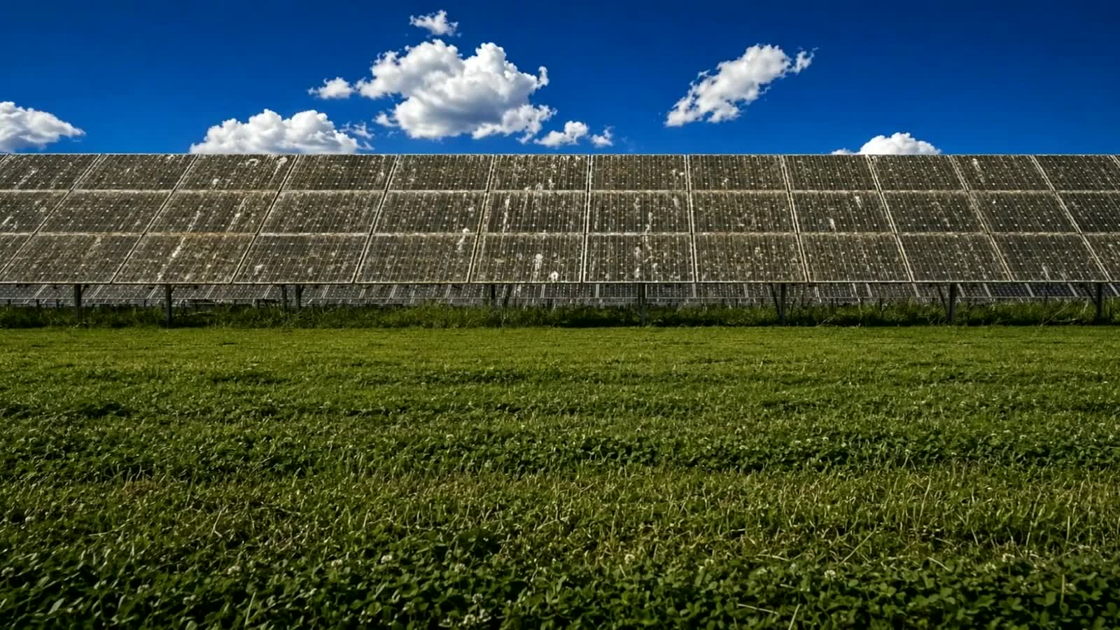 Panel washing machine cleaning a row of solar panels