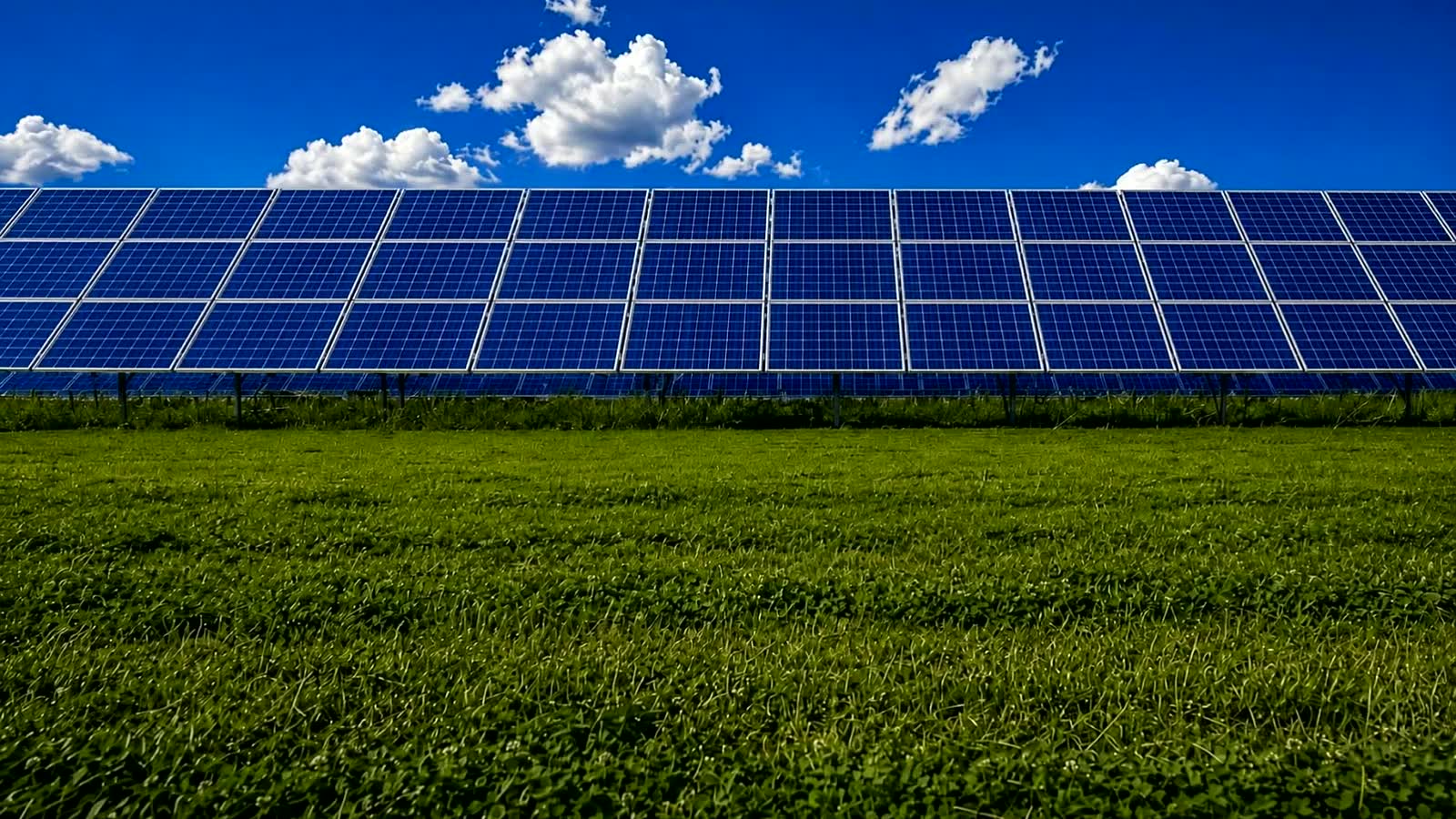 Clean solar array over freshly mowed grass under blue sky